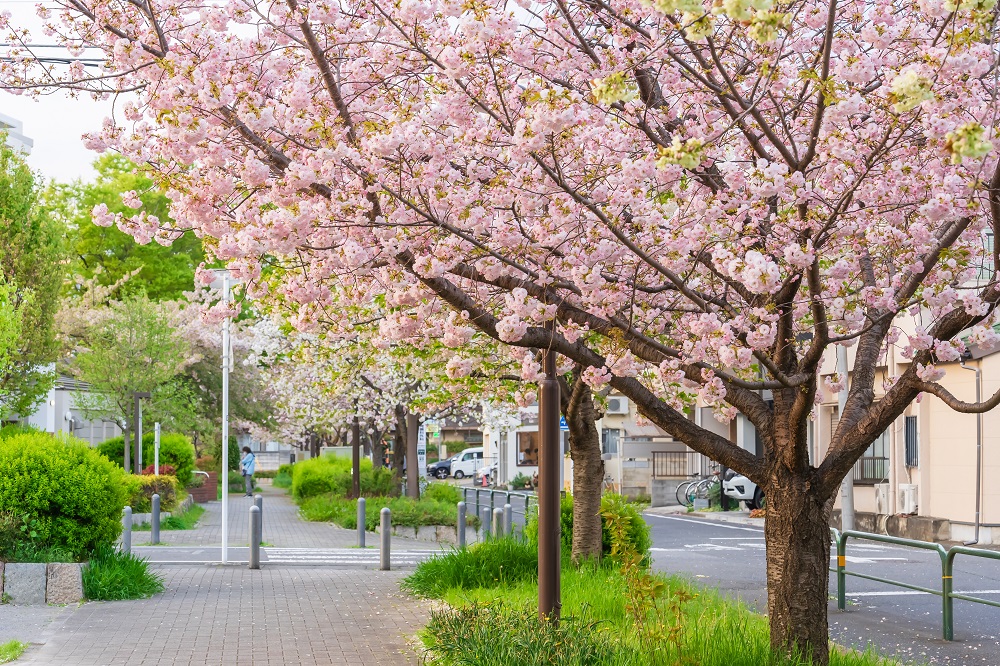 横浜市の外壁塗装はいつが最適？時期や季節を徹底解説！